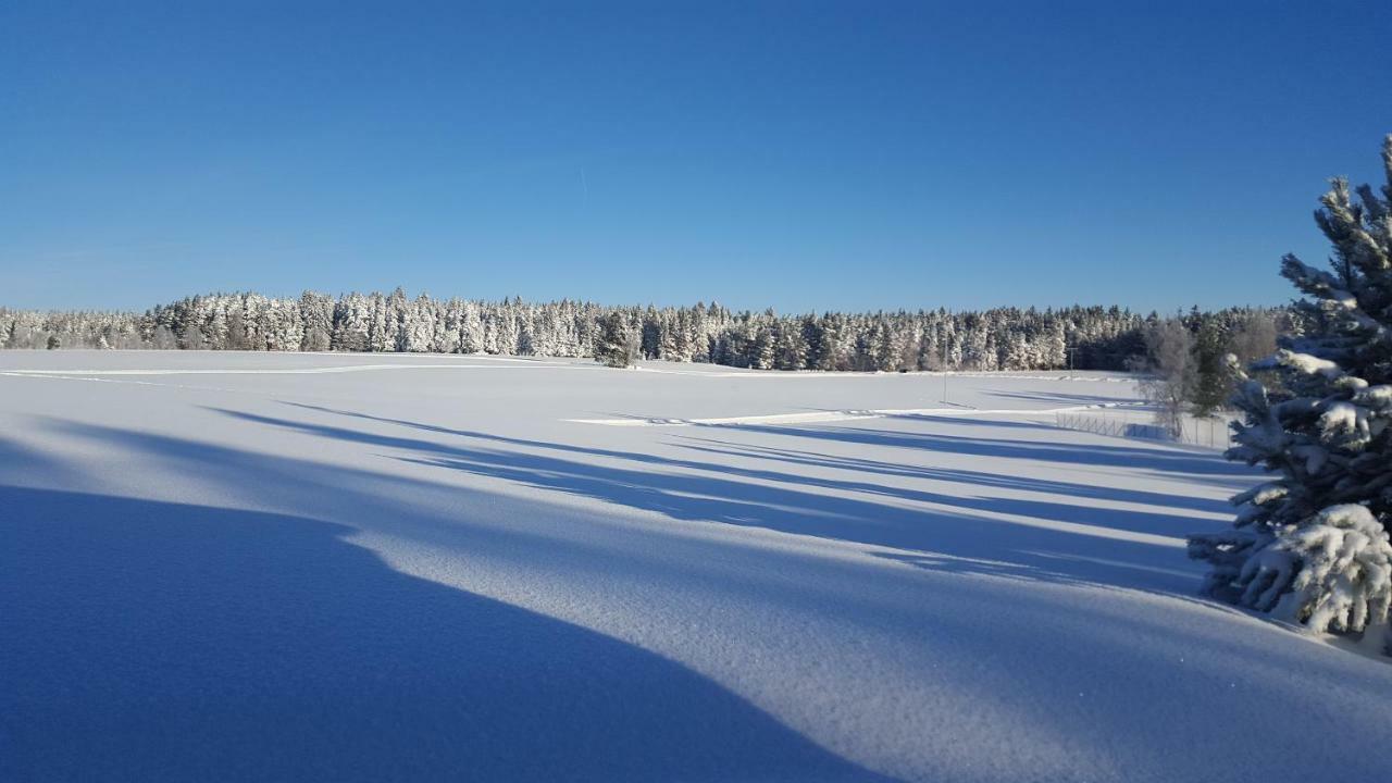 Ferienhaus Starenweg 8 Villa Schramberg Eksteriør bilde